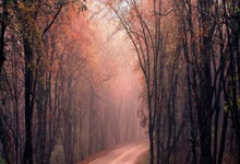 河北男篮逆袭获胜，实现绝地反击