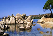 曼联成败难料，新赛季欧战风云再起